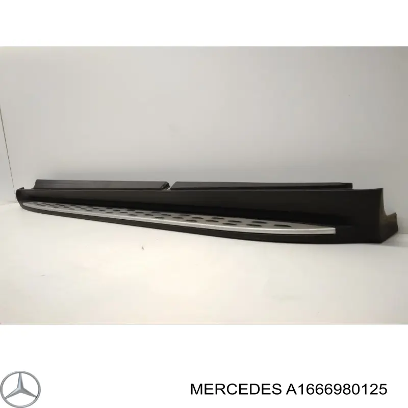 A1666980125 Mercedes 