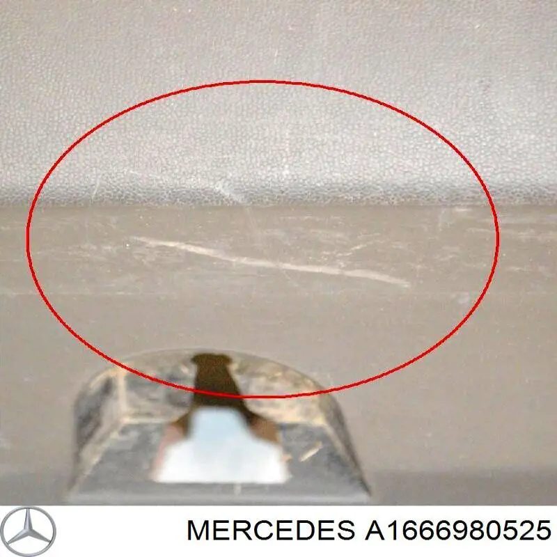 A1666980525 Mercedes 