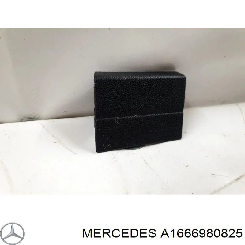 A1666980825 Mercedes 