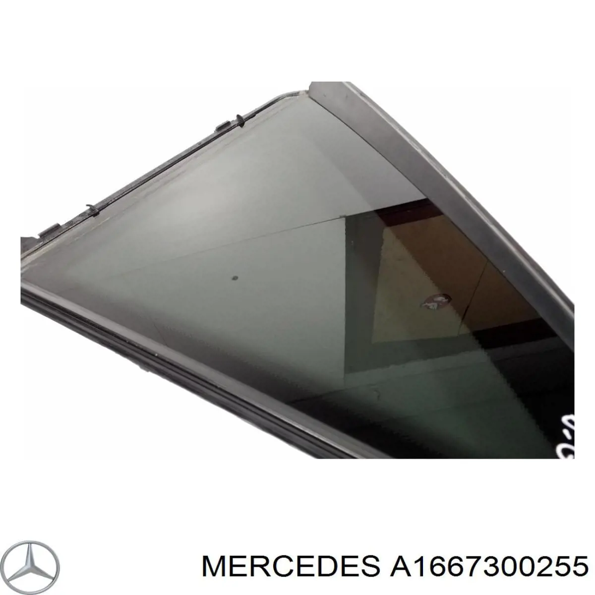  A1667300255 Mercedes