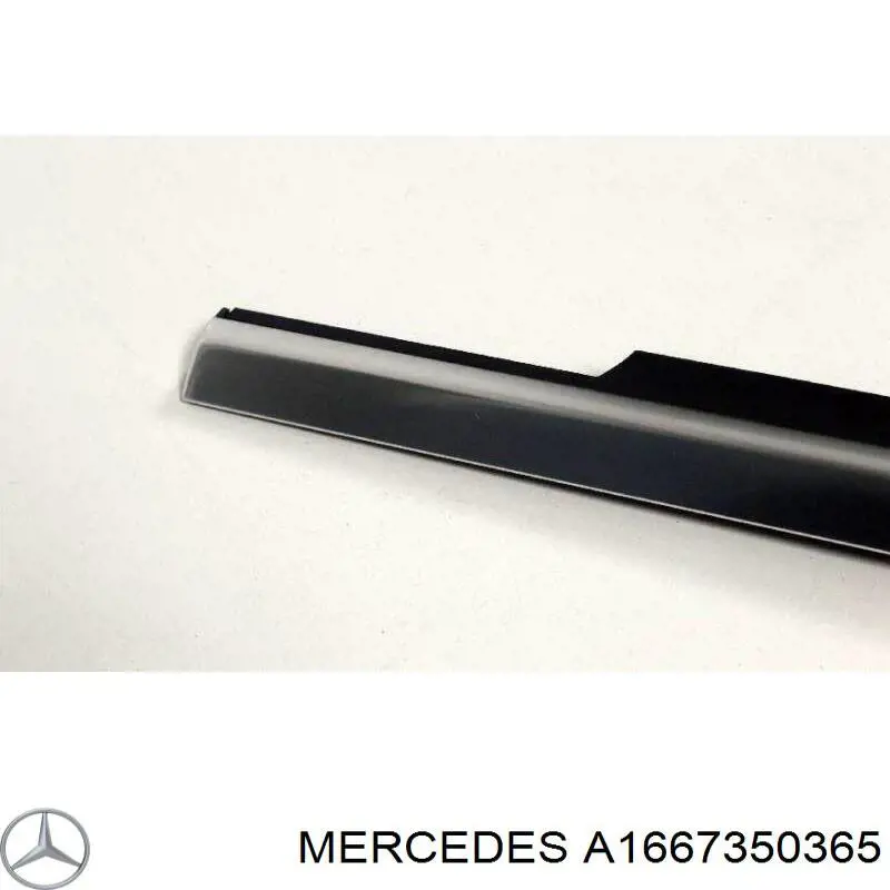 A1667350365 Mercedes Ущільнювач скла задніх дверей лівих, зовнішній (планка)