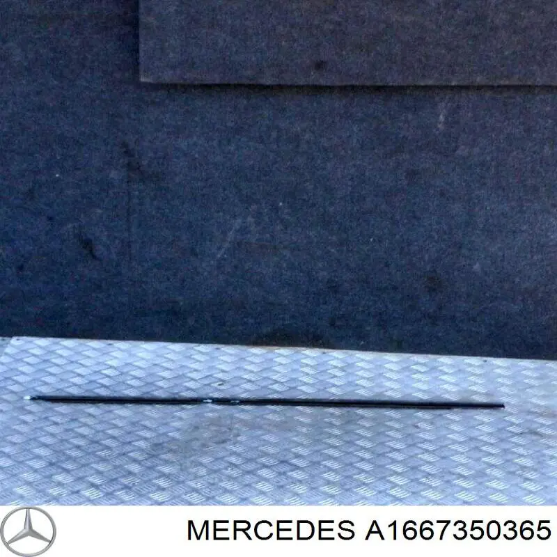 Ущільнювач скла задніх дверей лівих, зовнішній (планка) Mercedes A1667350365 ціна, від 19.00 USD