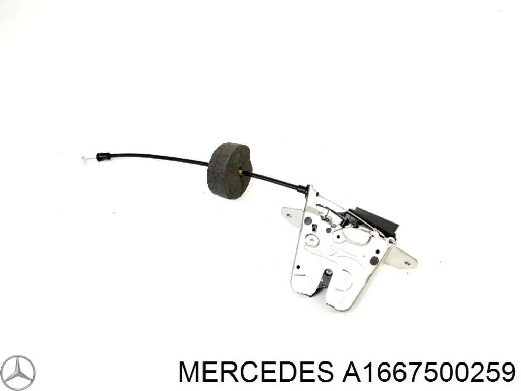 A1667500259 Mercedes 