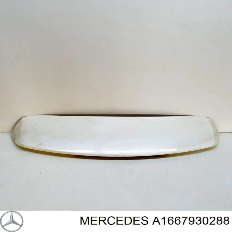  A1667930288 Mercedes
