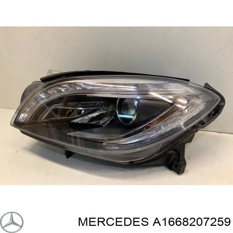 A1668207259 Mercedes 