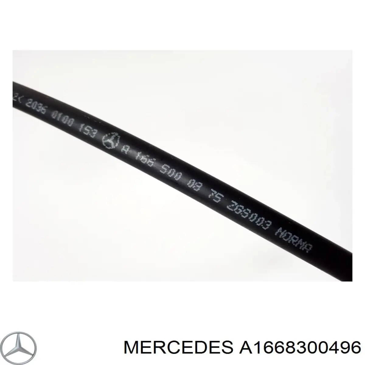 A1668300496 Mercedes 