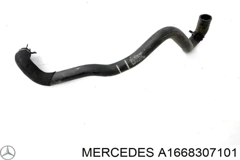 Купити A1668305196 Mercedes Трубопроводи і шланги системи охолодження