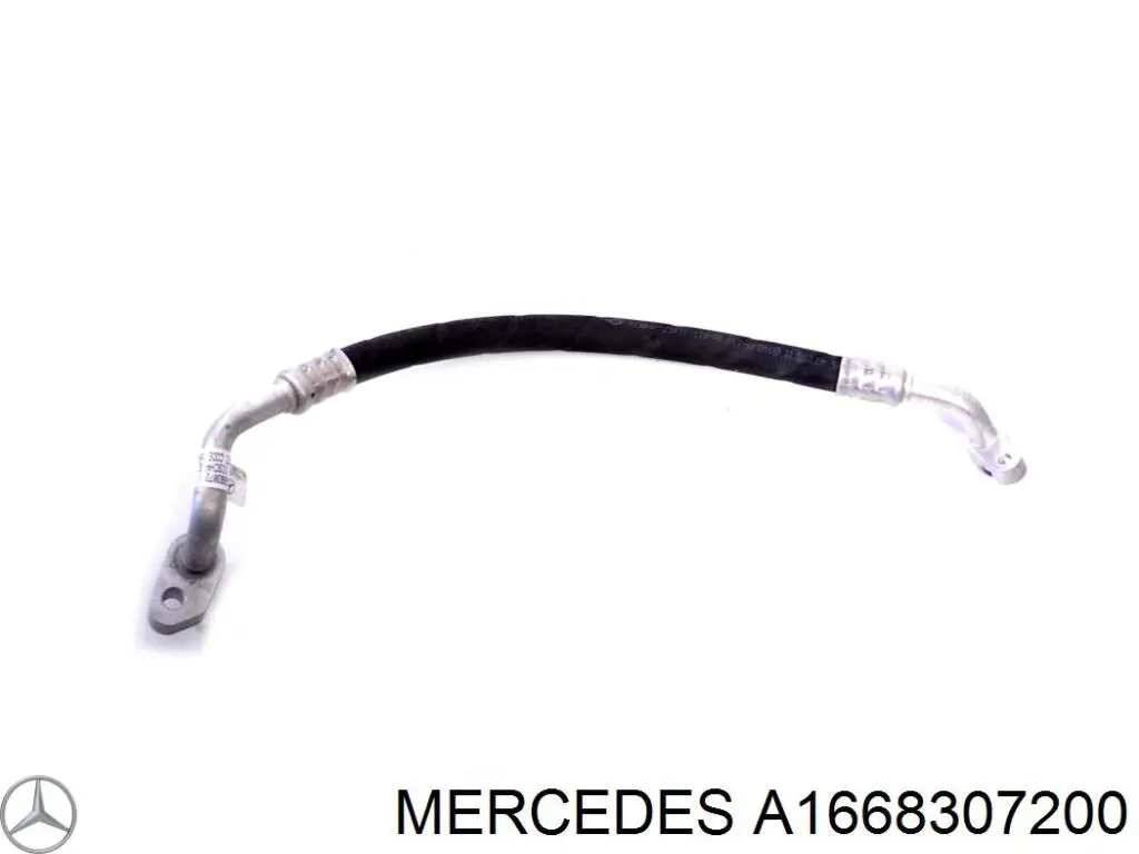 A1668307200 Mercedes 