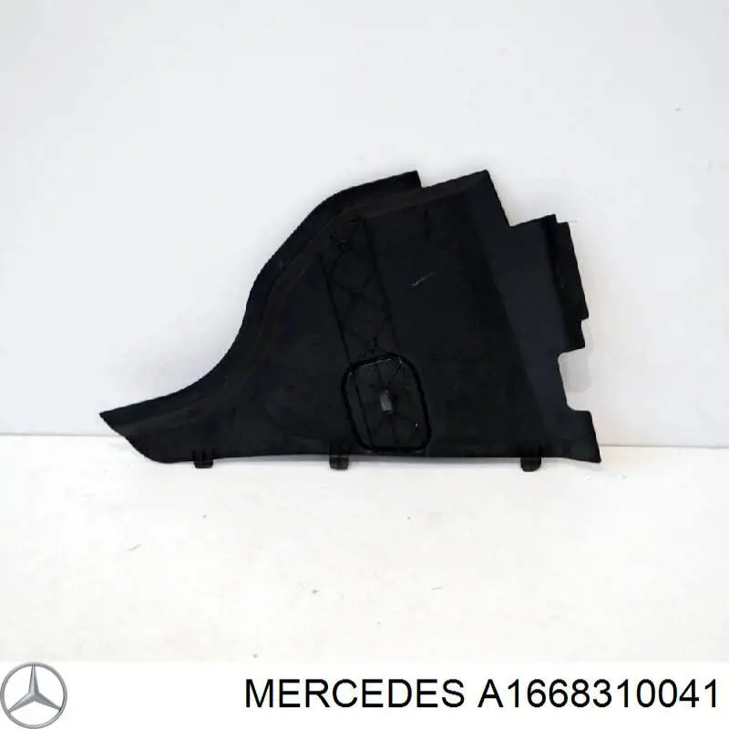 A1668310041 Mercedes 