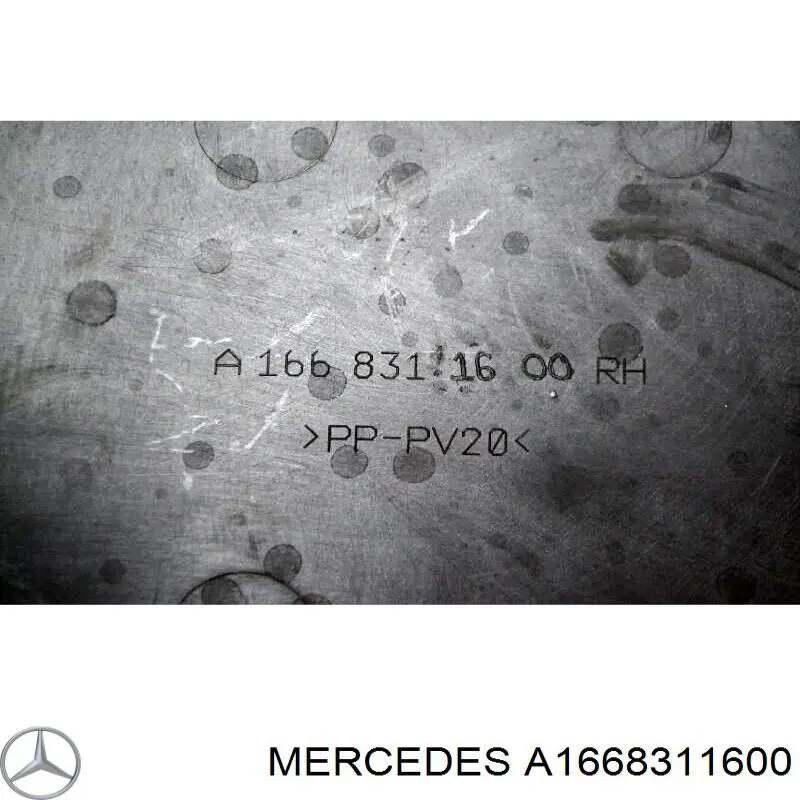 Купити A1668310141 Mercedes 