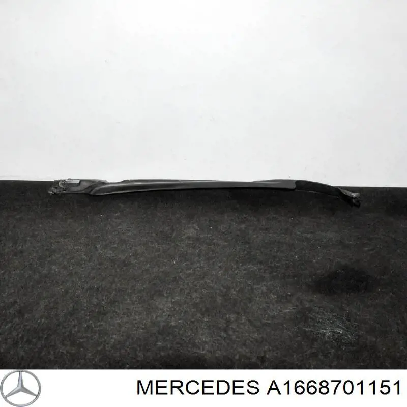 A1668701151 Mercedes 