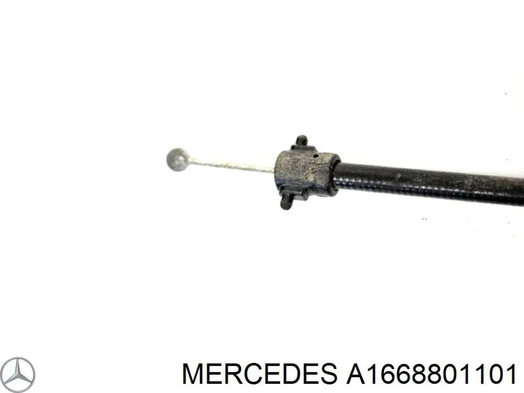Купити A1668801101 Mercedes 