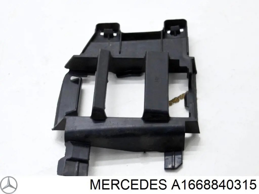  A1668840315 Mercedes