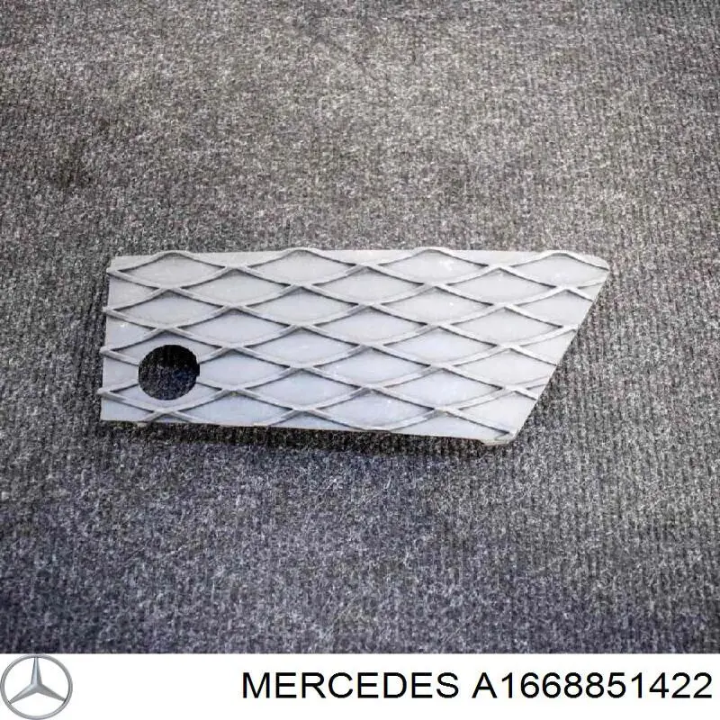 A1668851422 Mercedes 