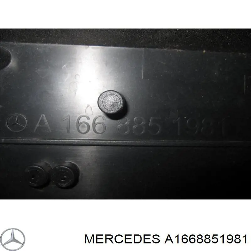 A1668851981 Mercedes 