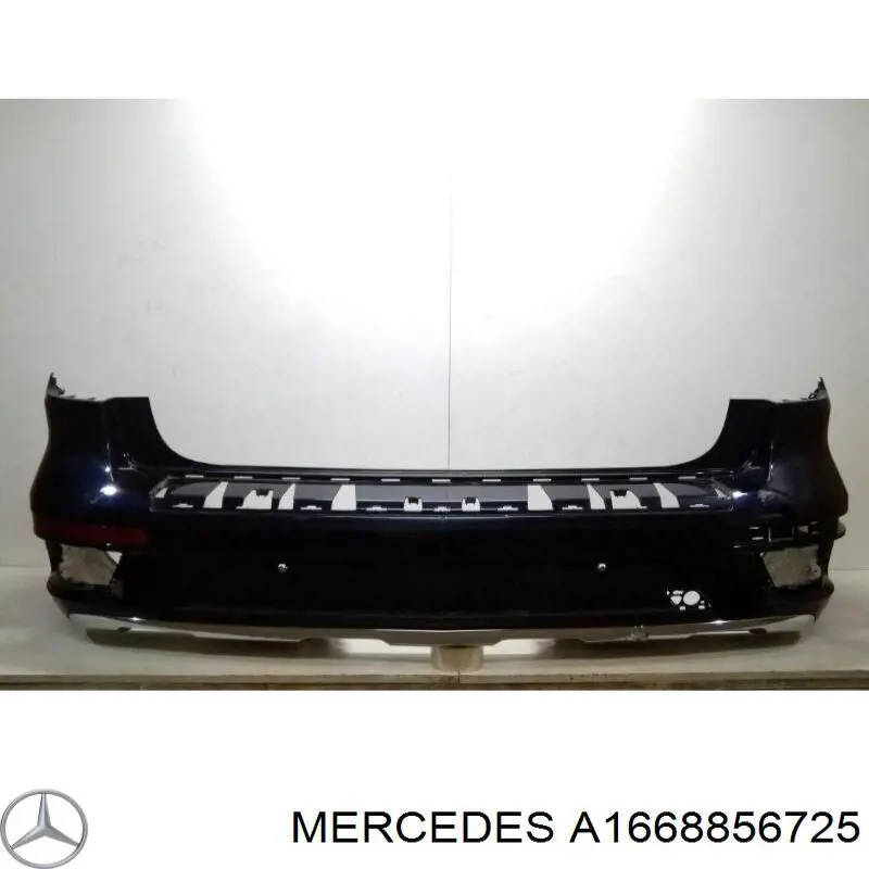  A1668856725 Mercedes