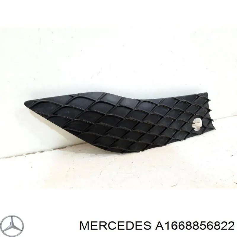 A1668856822 Mercedes 