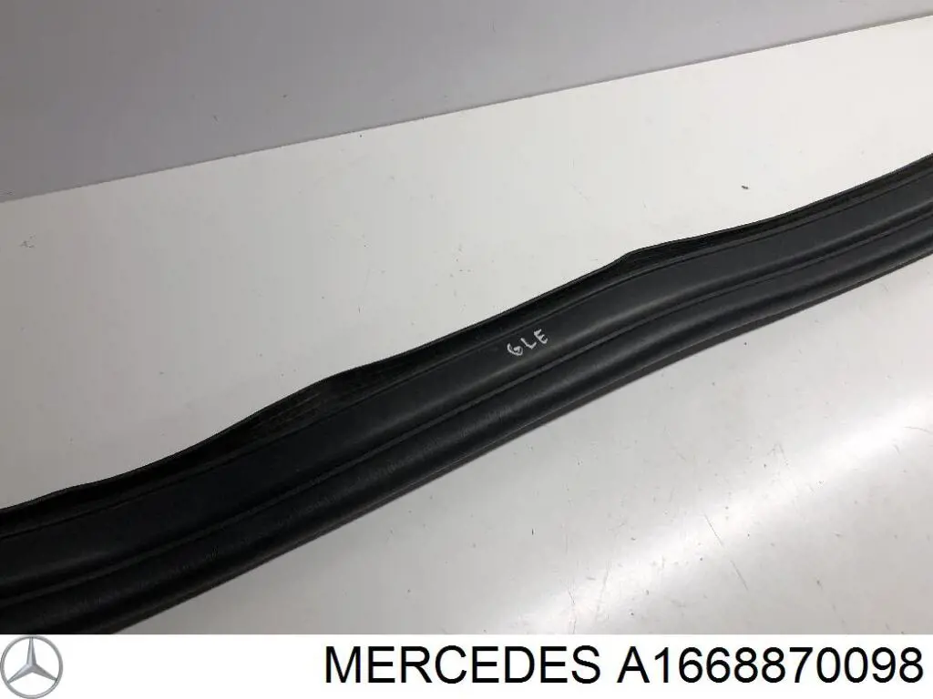 Купити A1668870098 Mercedes 