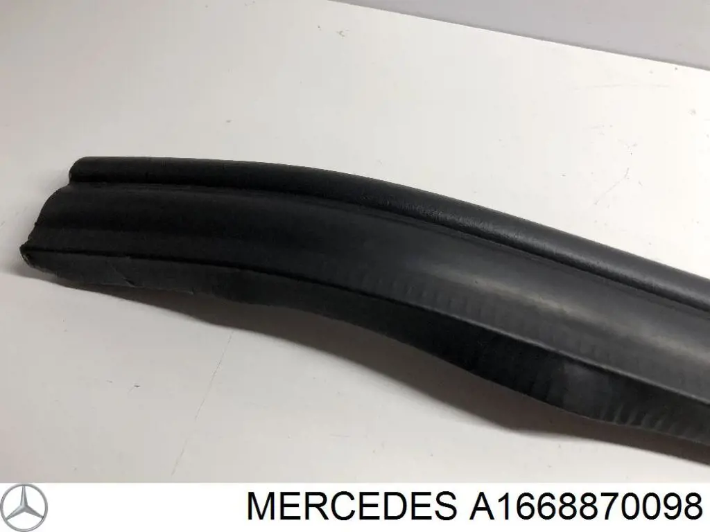 A1668870098 Mercedes 