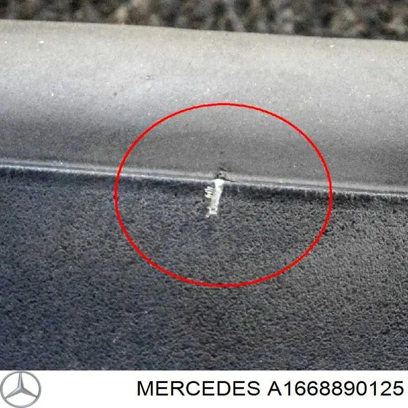  A1668890125 Mercedes