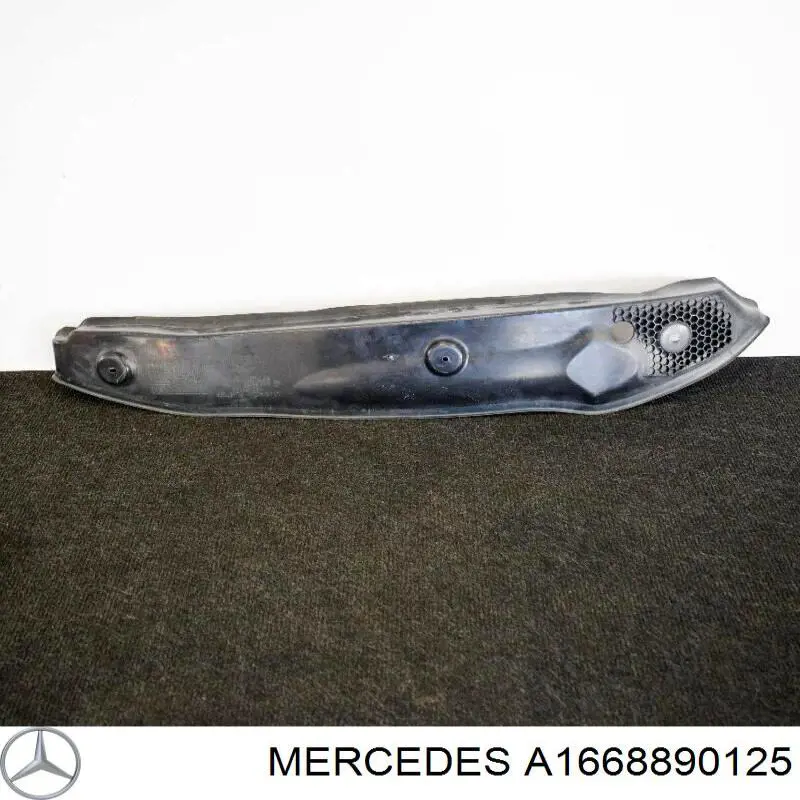 A1668890125 Mercedes 