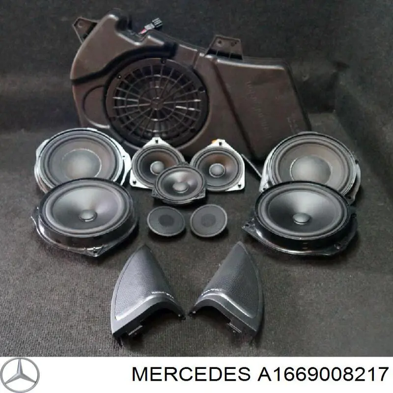 A1669008217 Mercedes 