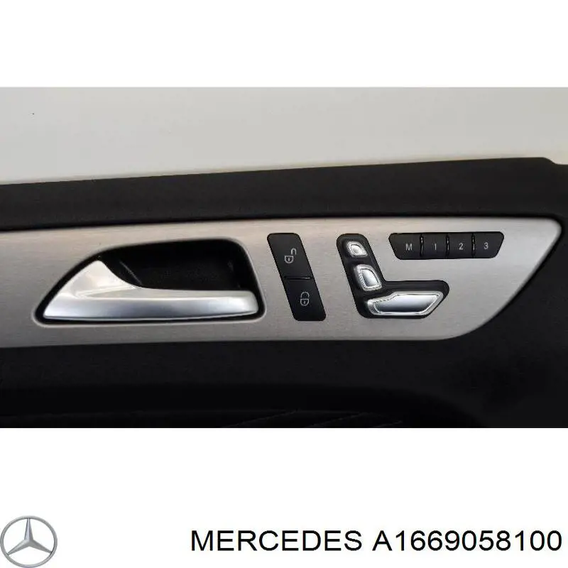 A1669058100 Mercedes 