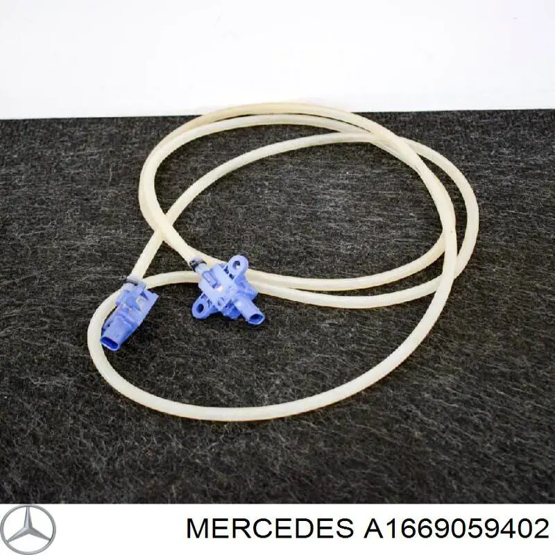  1669059402 Mercedes