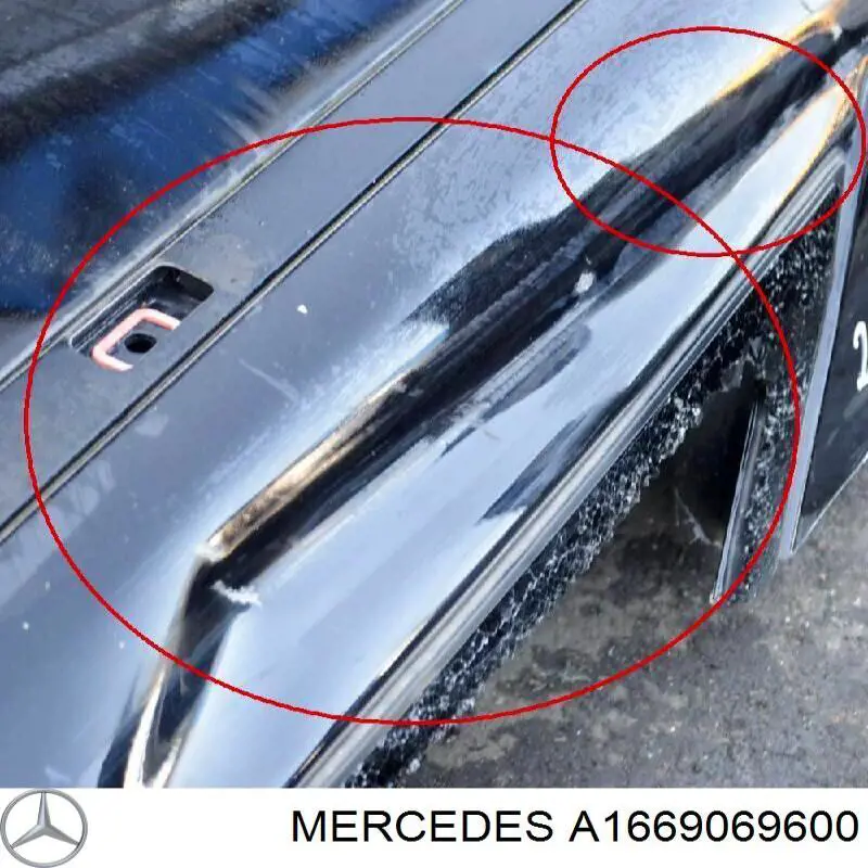  A1669069600 Mercedes