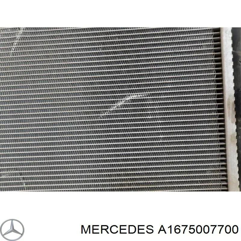 Купити A1675007700 Mercedes 