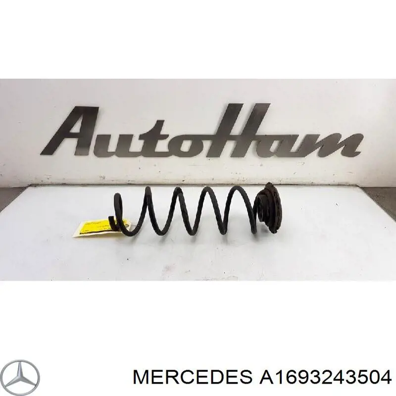 Пружина задня Mercedes A1693243504 ціна, від 27.34 USD