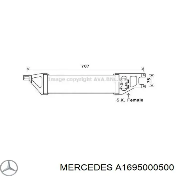  A1695000500 Mercedes