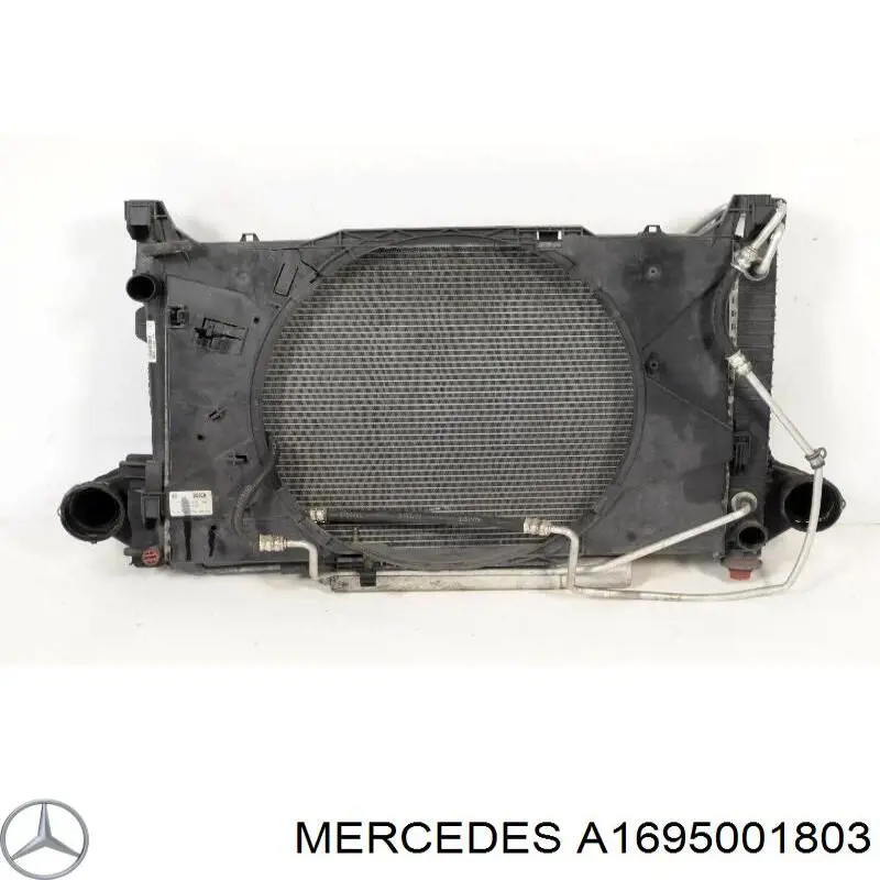 A1695001803 Mercedes радіатор охолодження двигуна