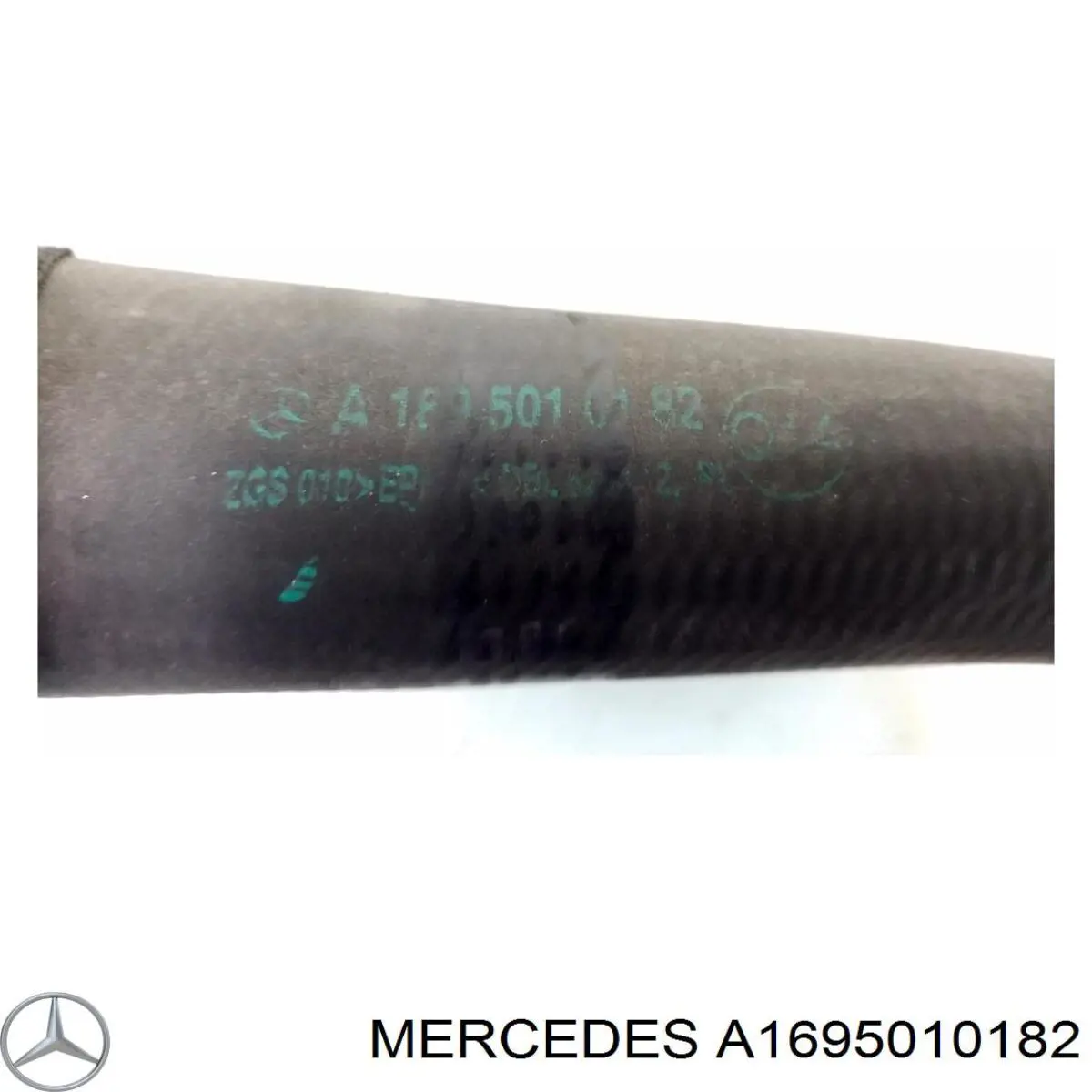 Купити A1695010182 Mercedes Шланг/патрубок радіатора охолодження, нижній