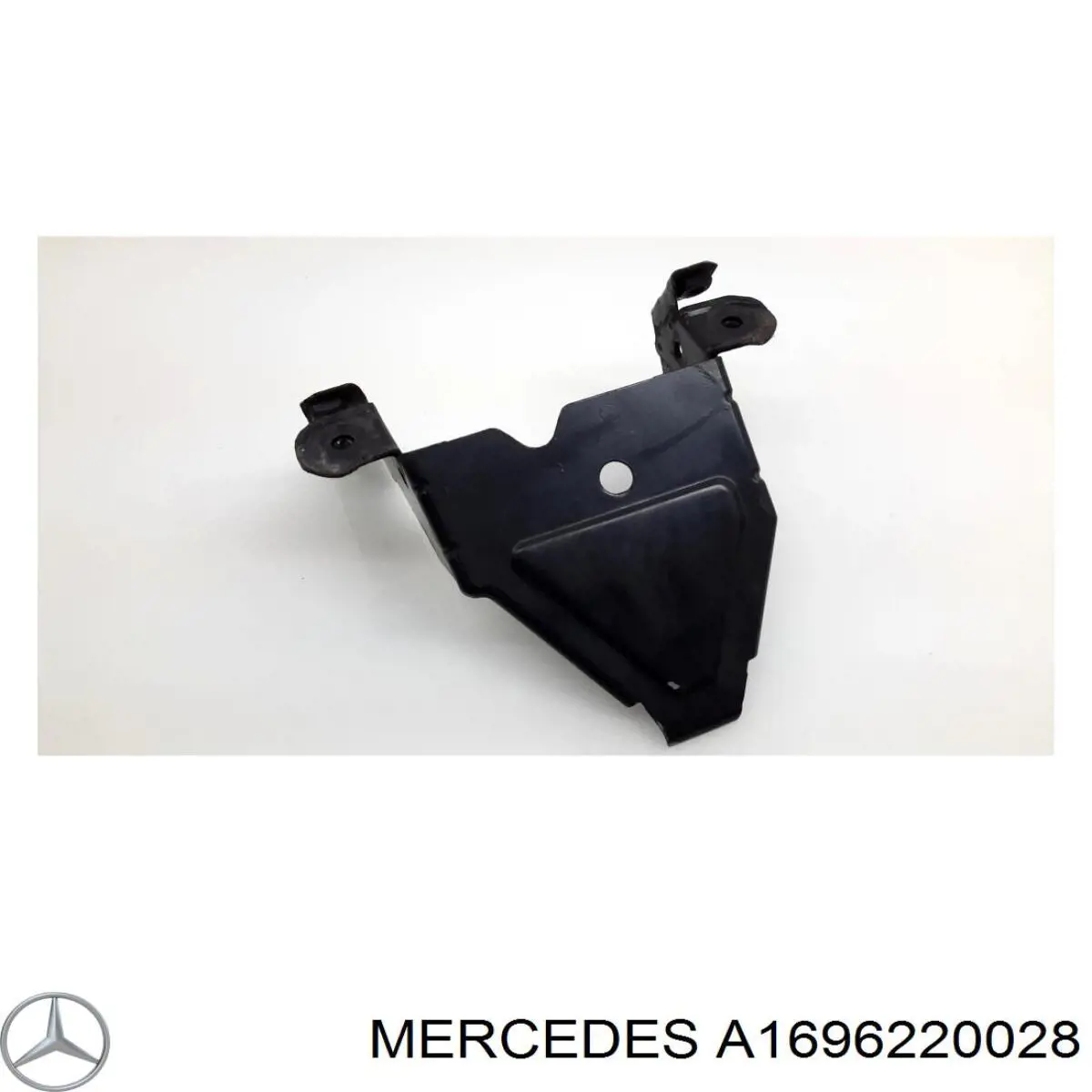 A1696220028 Mercedes 