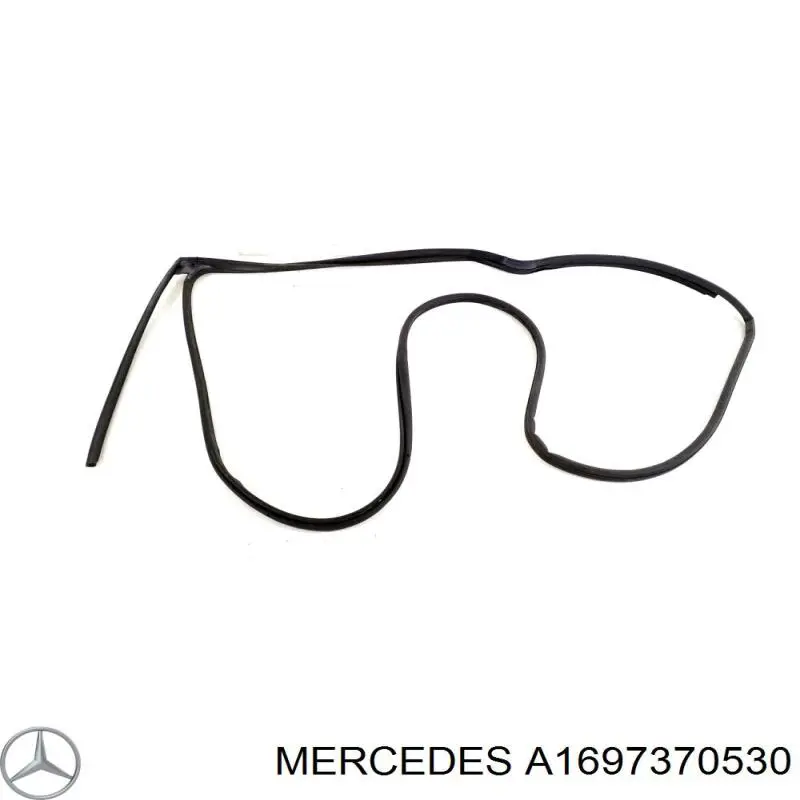 A1697370530 Mercedes 