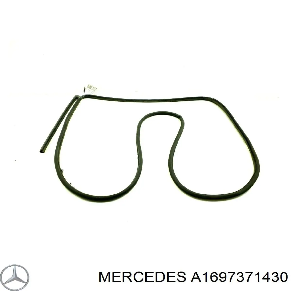  A1697371430 Mercedes