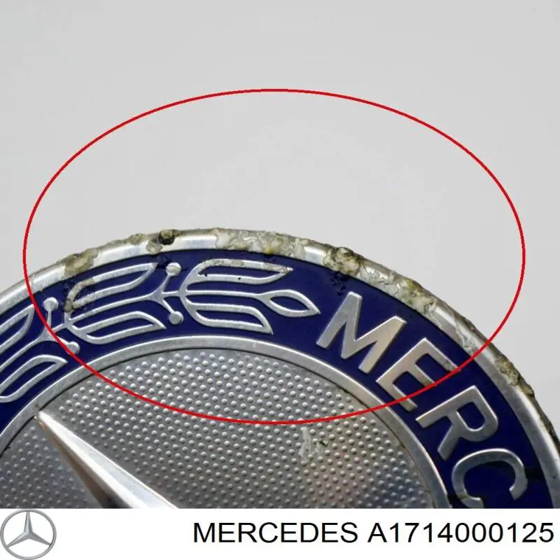 Ковпаки A1714000125 Mercedes