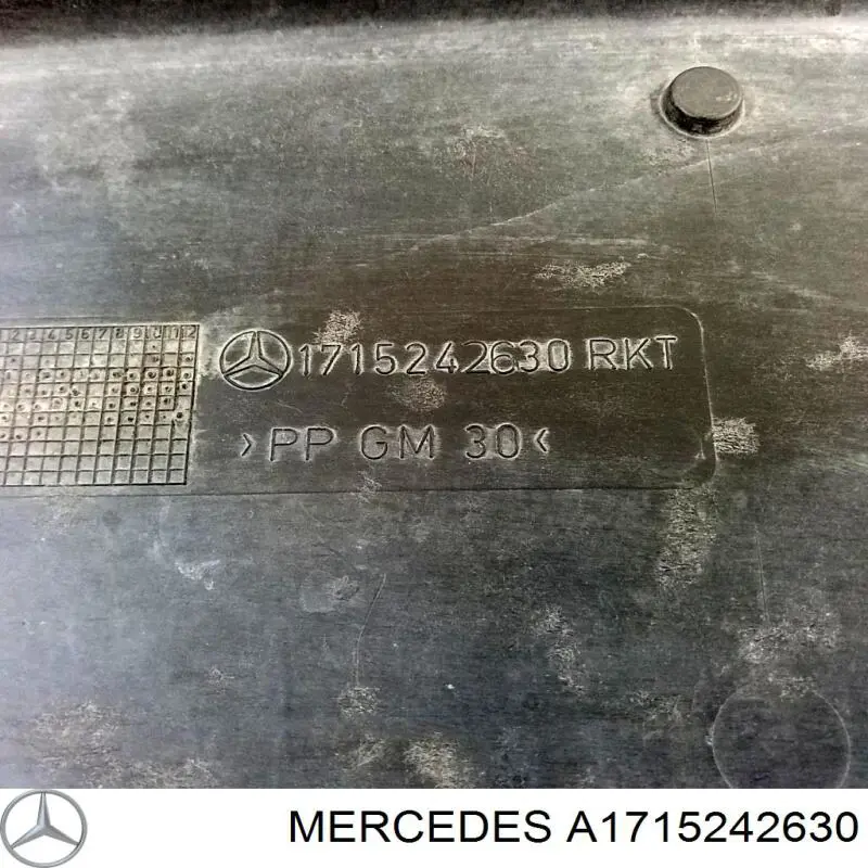 A1715242630 Mercedes Захист піддона двигуна