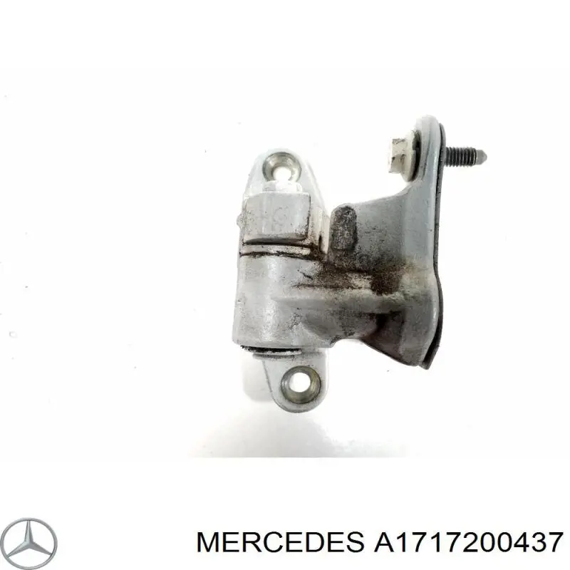 Купити A1717200437 Mercedes 