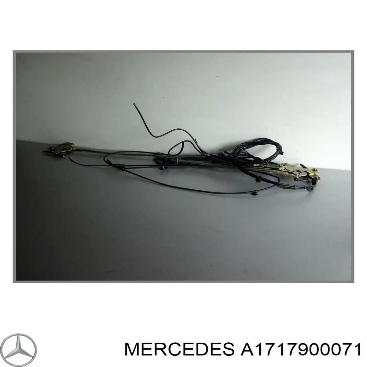 Купити A1717900071 Mercedes 