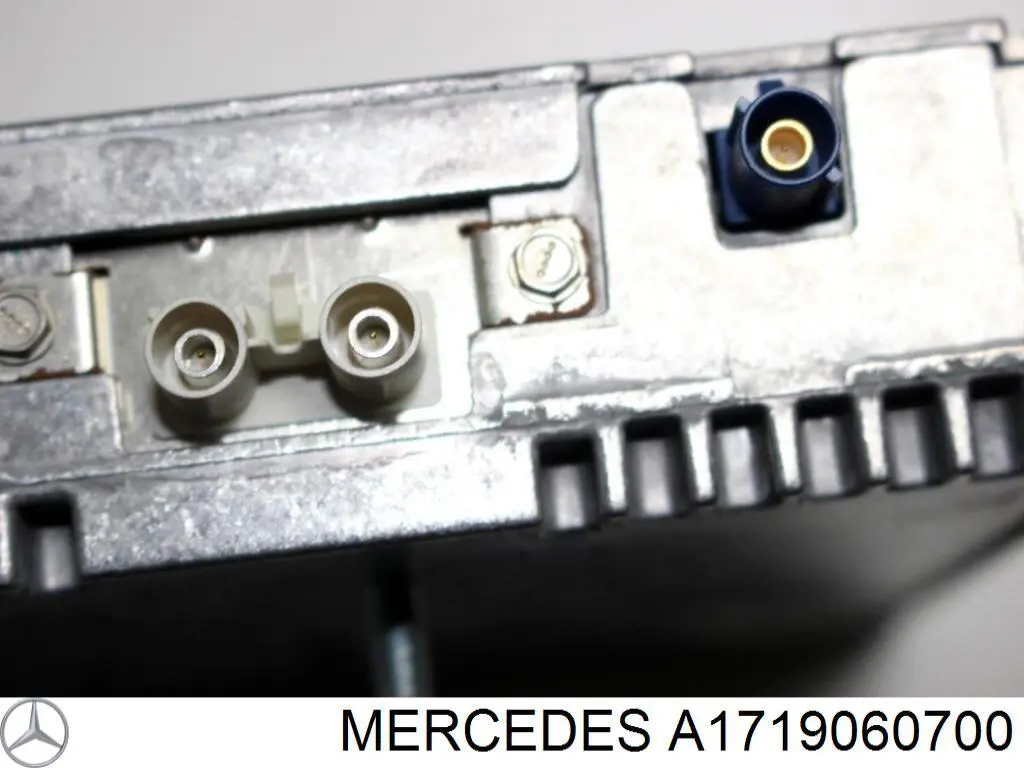 A1719060700 Mercedes 