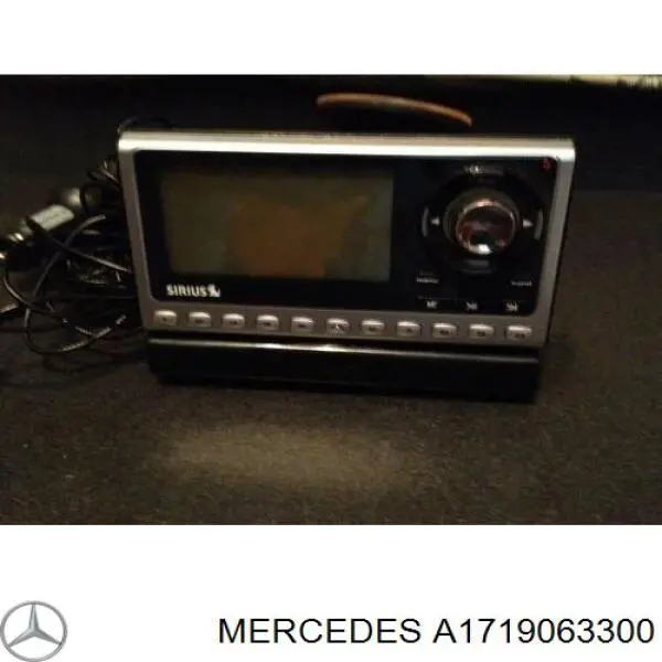 A1719063300 Mercedes 