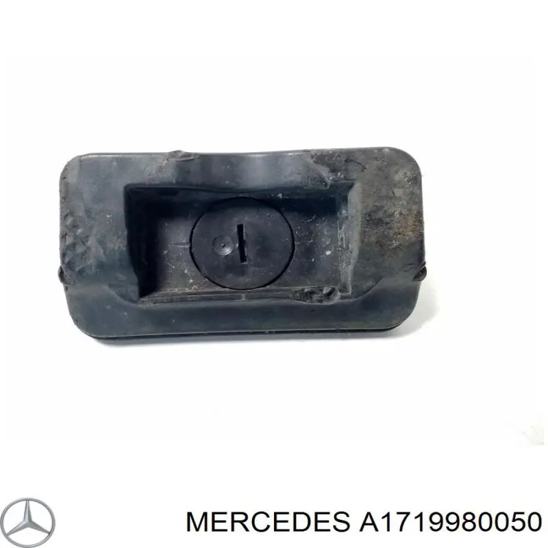 A1719980050 Mercedes 