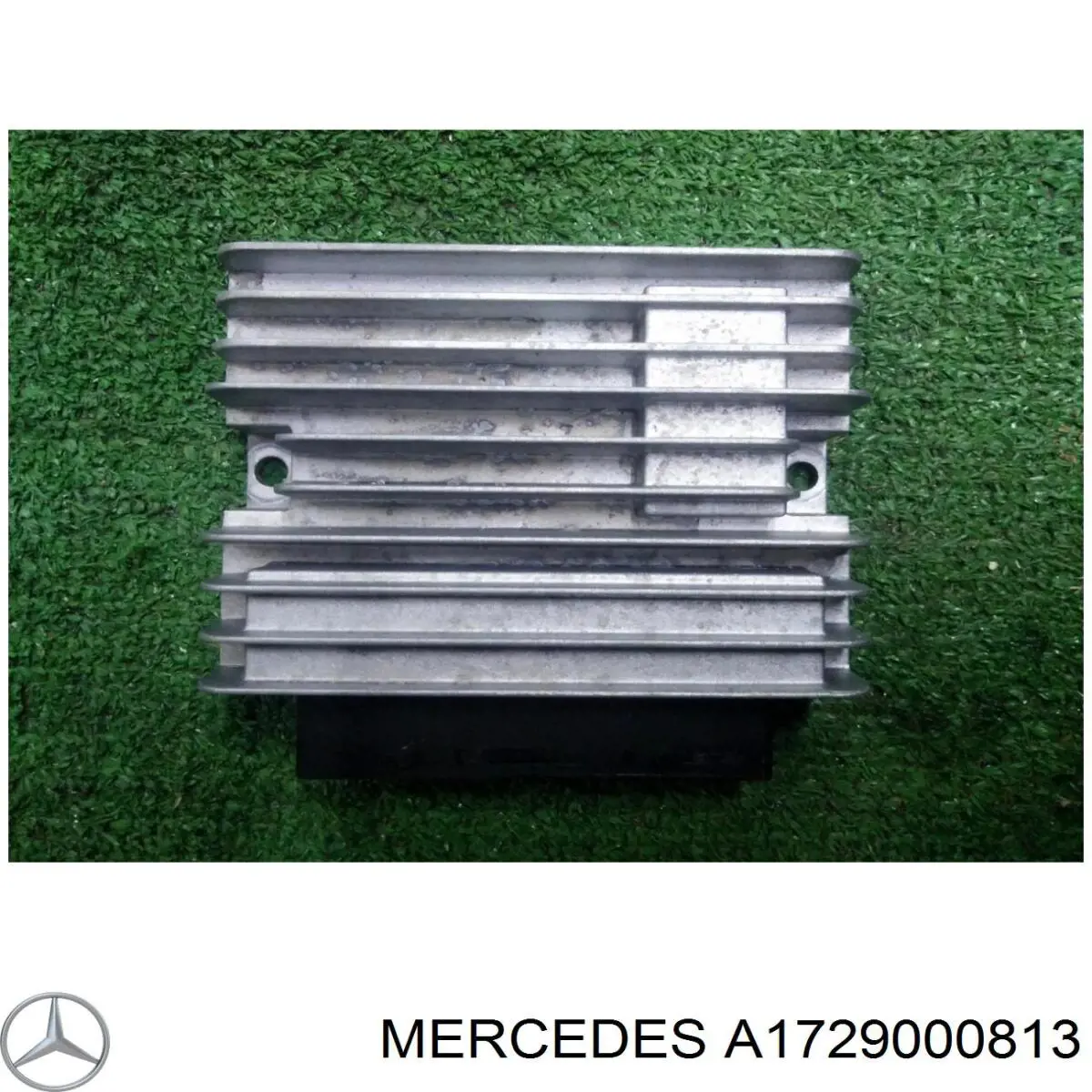 A1729000813 Mercedes 