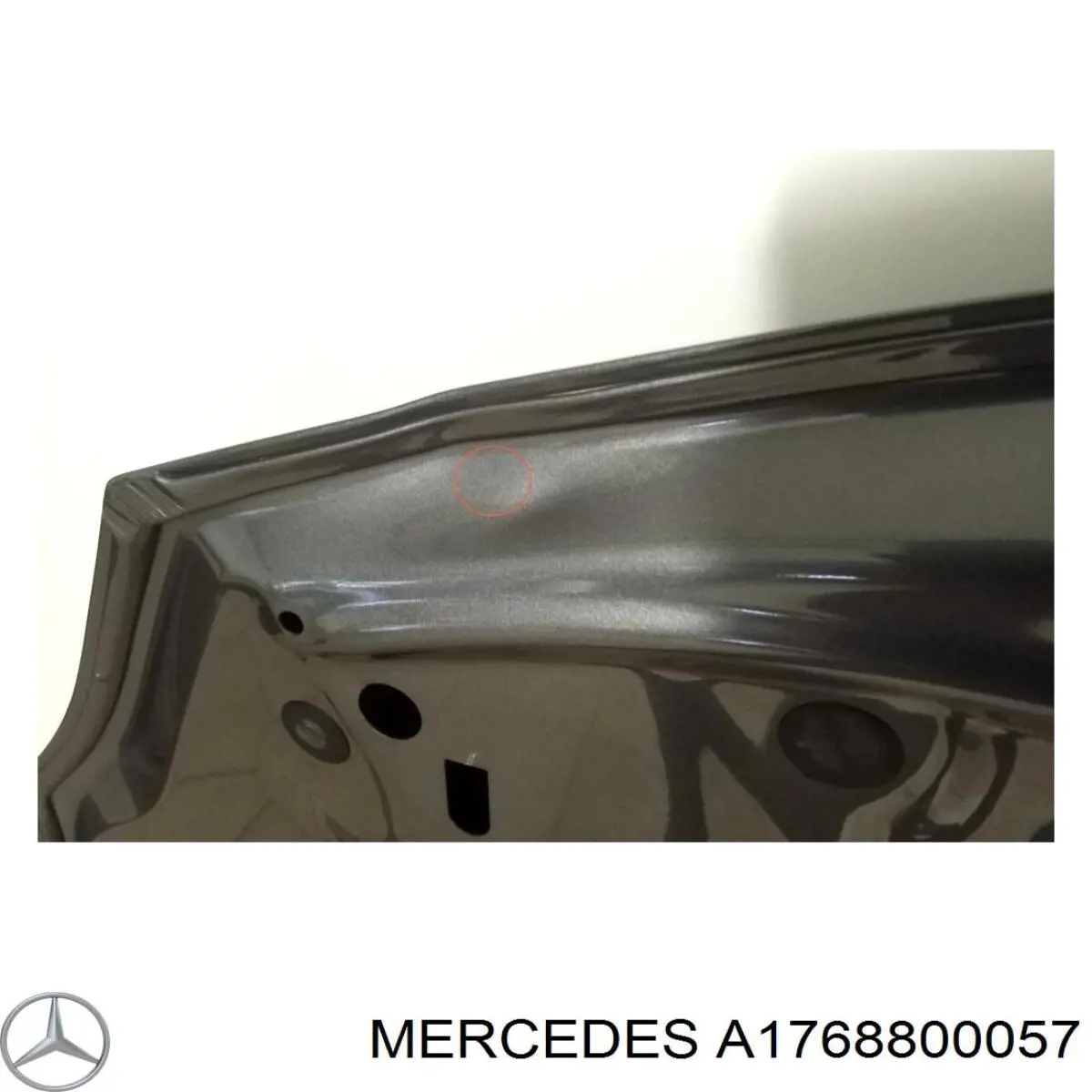 Капот Diederichs 1682000