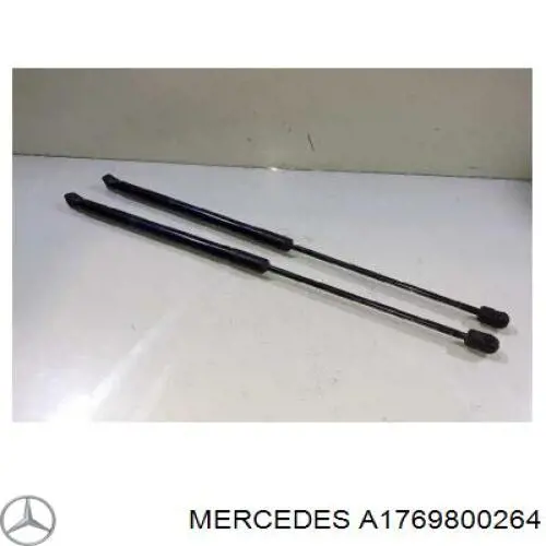 Амортизатор багажника 103840 Febi