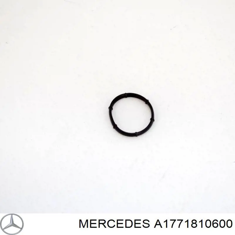  A1771810600 Mercedes