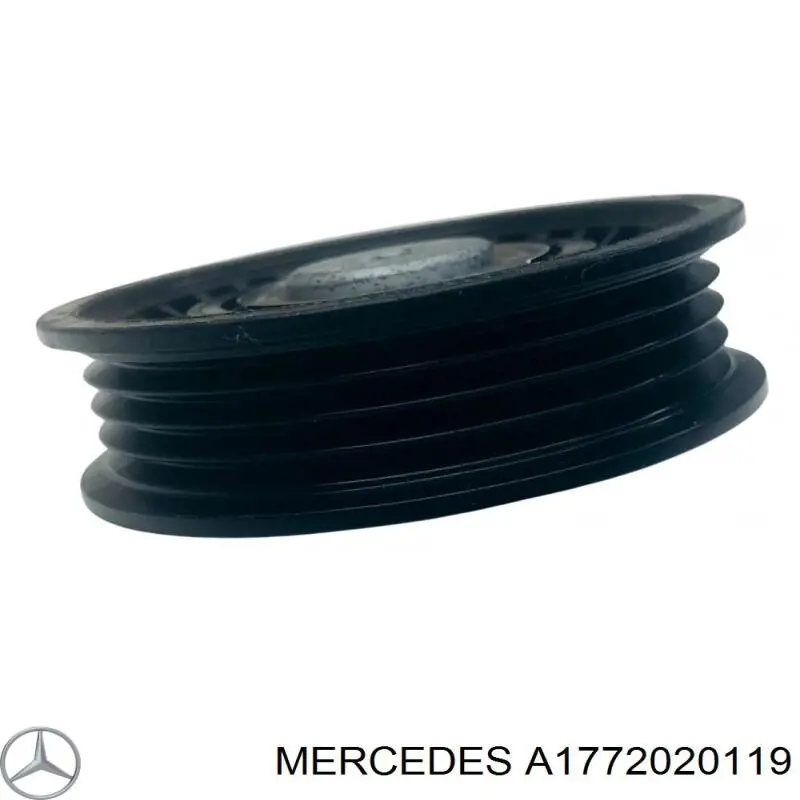  1772020119 Mercedes