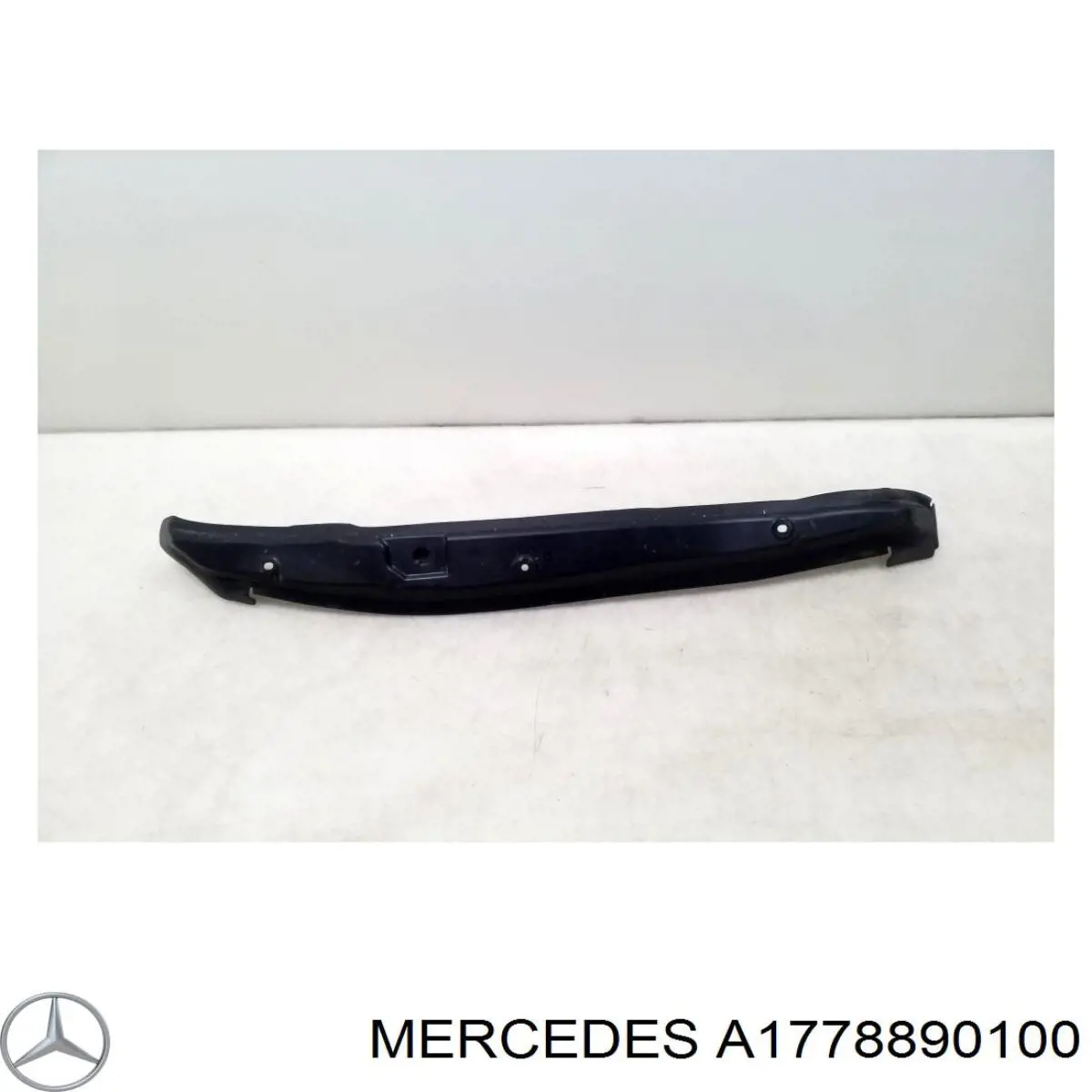 A1778890100 Mercedes 
